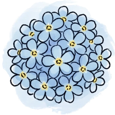 forget-me-not