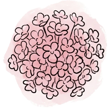 pink-baby-breath