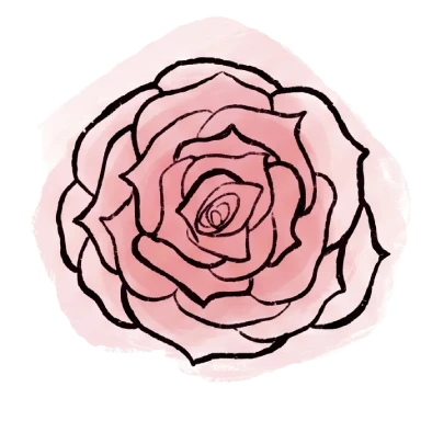 pink-rose
