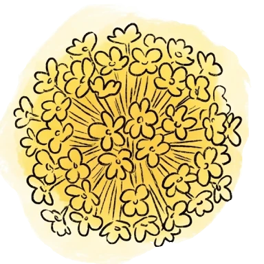 yellow-baby-breath