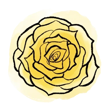 yellow-rose